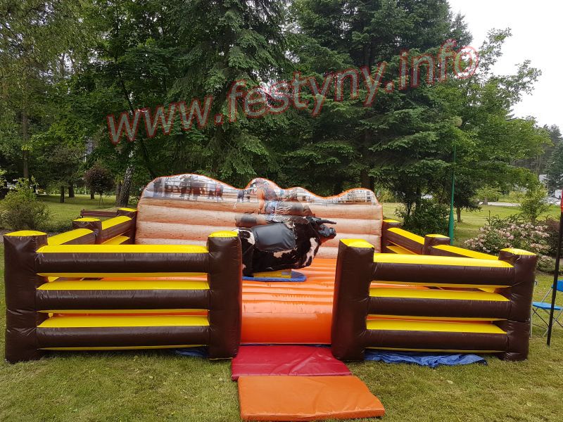 wynajem byka rodeo wynajem Kraków, Katowice, Kielce, Myslenice
