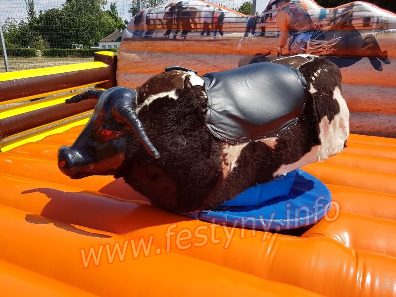 byk rodeo wynajem Kraków, Katowice, Kielce, Myslenice