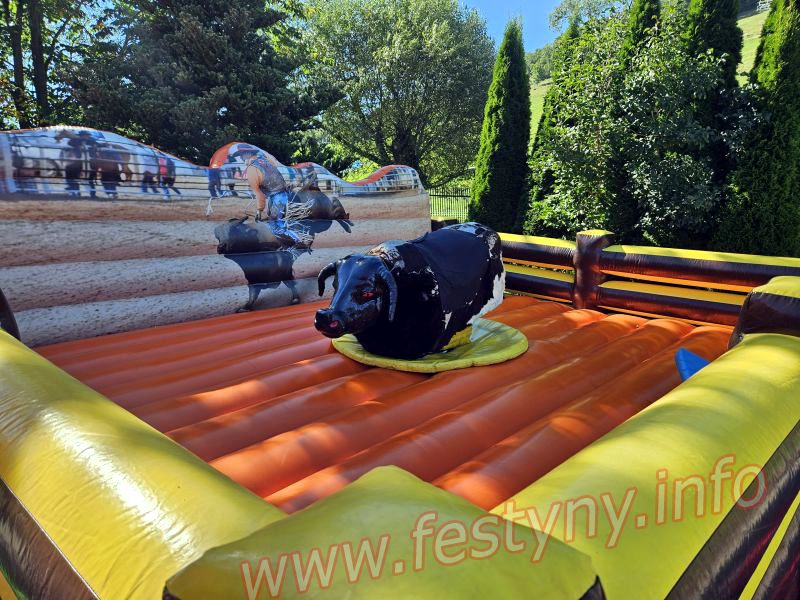 byk rodeo wynajem Kraków, Katowice, Kielce, Myslenice
