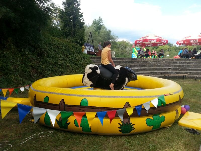 wynajem byka rodeo