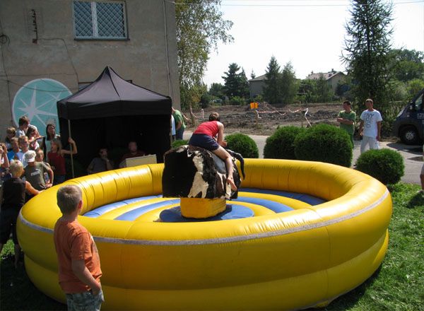 byk rodeo wynajem