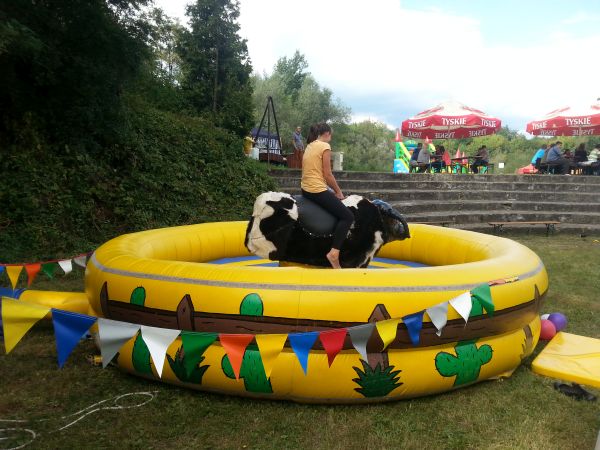 byk rodeo wynajem Kraków, Katowice, Kielce, Myslenice
